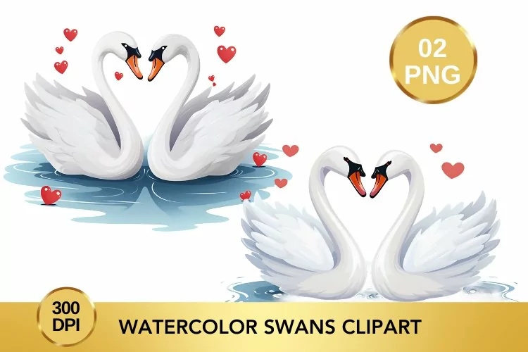 Watercolor Swans Clipart, Valentine's Day Swans Clipart