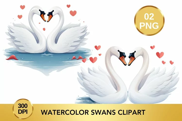 Watercolor Swans Clipart, Valentine's Day Swans Clipart