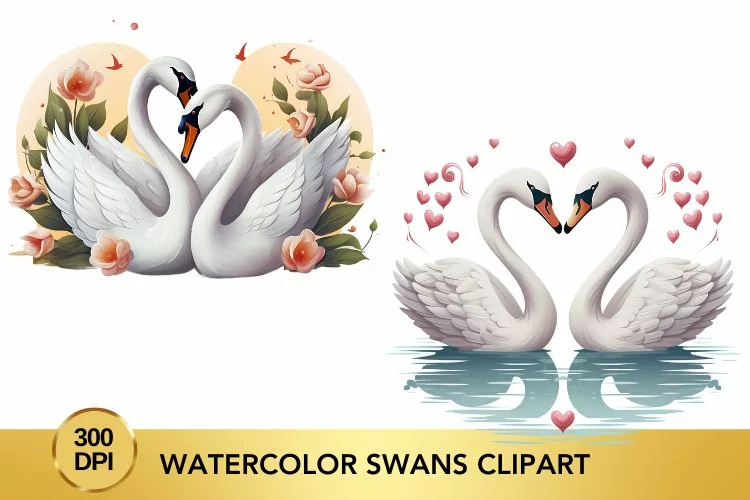 Watercolor Swans Clipart, Valentine's Day Swans Clipart