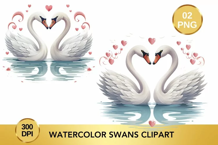Watercolor Swans Clipart, Valentine's Day Swans Clipart