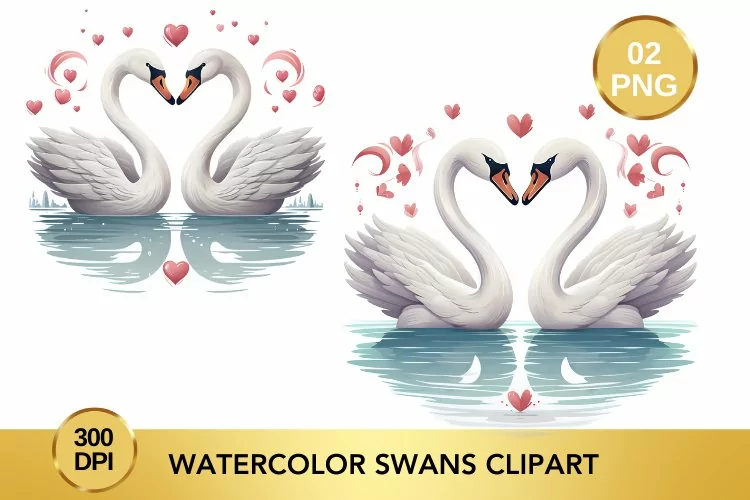 Watercolor Swans Clipart, Valentine's Day Swans Clipart