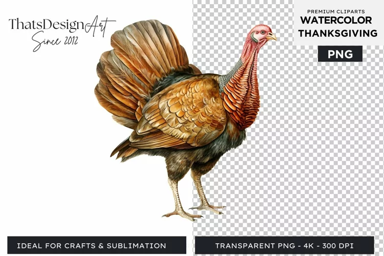 Traditional Thanksgiving Turkey Watercolor Clipart
