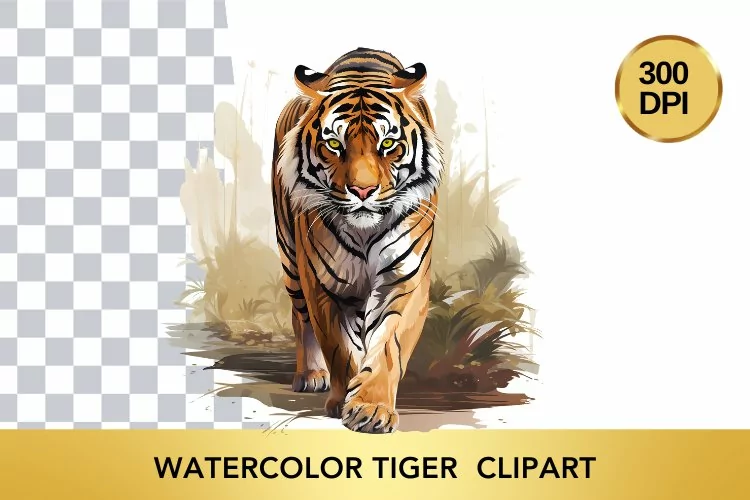 Watercolor tiger Clipart , Animal Sublimation PNG