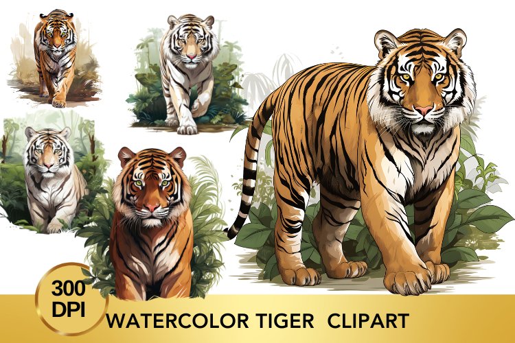 Tiger PNG Image 7