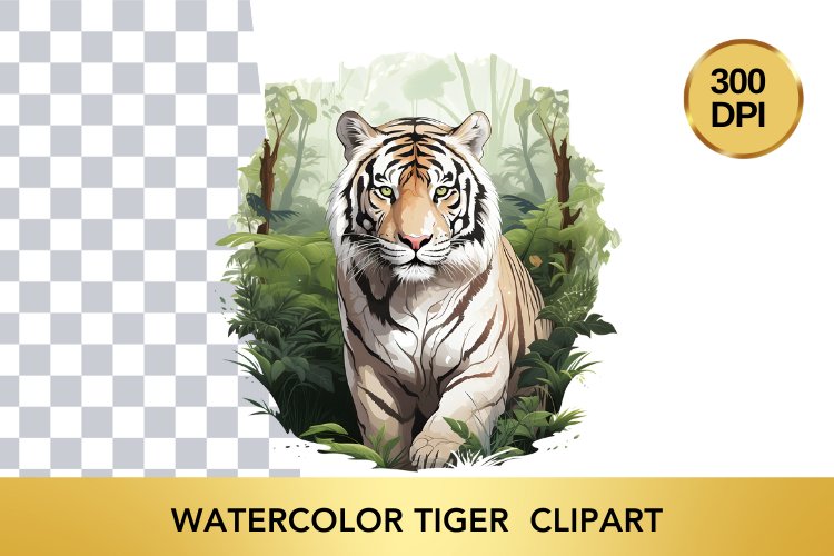 Tiger PNG Image 10