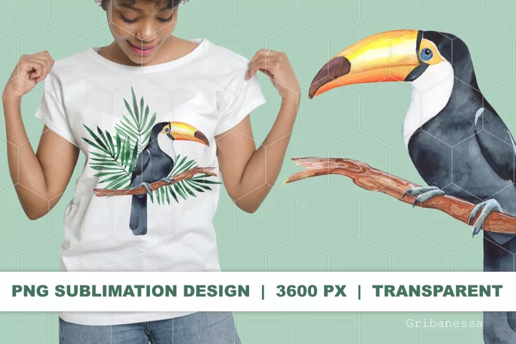 Toucan bird PNG | Summer sublimation design