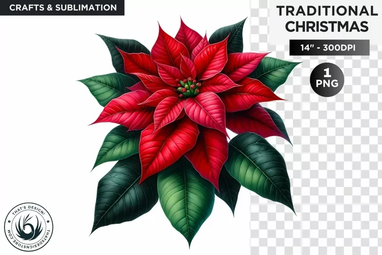 Watercolor Christmas poinsettia Clipart PNG