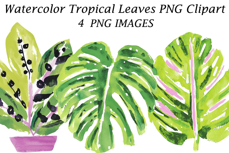 Watercolor Tropical Leaves PNG Clipart