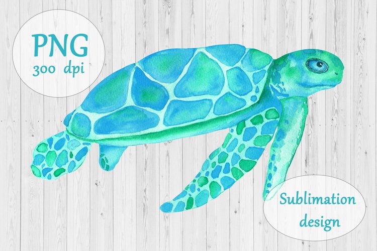 Sea Turtle Png Image 19