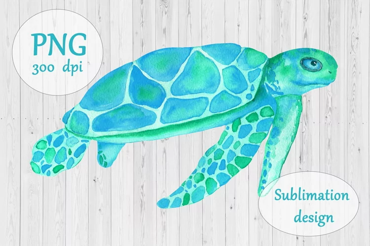 Watercolor Turquoise Turtle Sublimation Design PNG