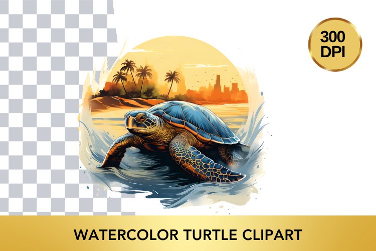 Turtle Png Image 20