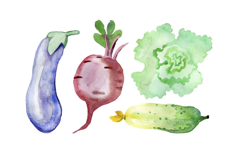 Vegetable Illustration Image 16