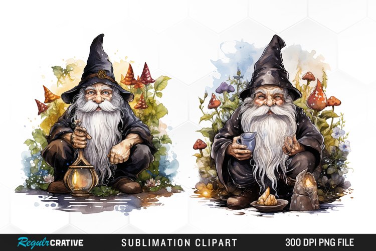 Gnome Illustration