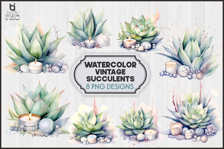 Succulents Png Image 12