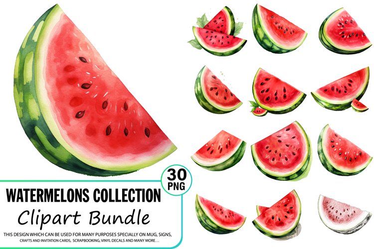 Watercolor Watermelon Clipart Bundle