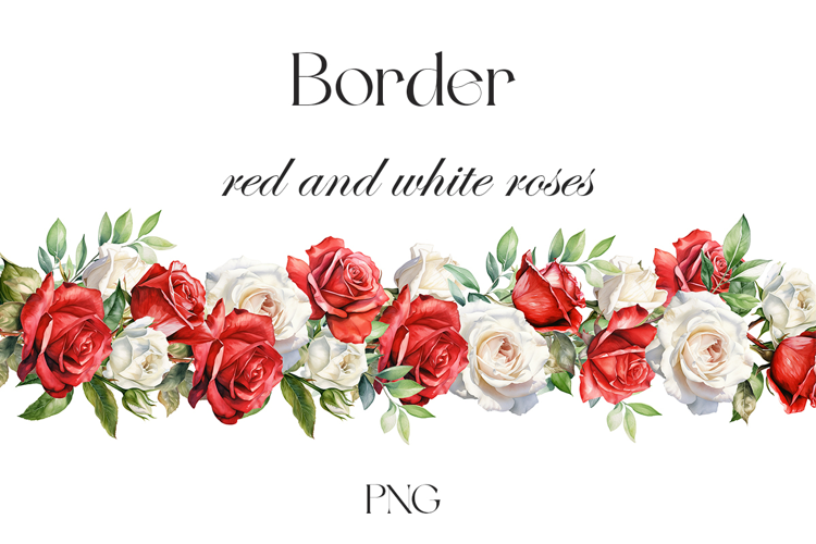 Watercolor white and red rose border PNG