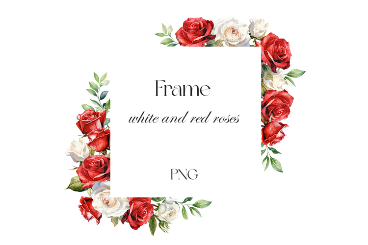 Watercolor white and red rose frame