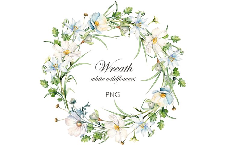 White Flowers Png Image 14