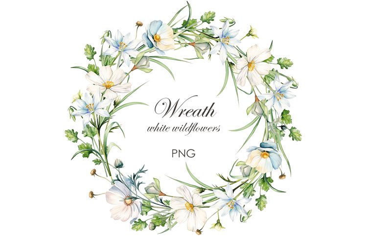 Watercolor white wildflowers Frame PNG