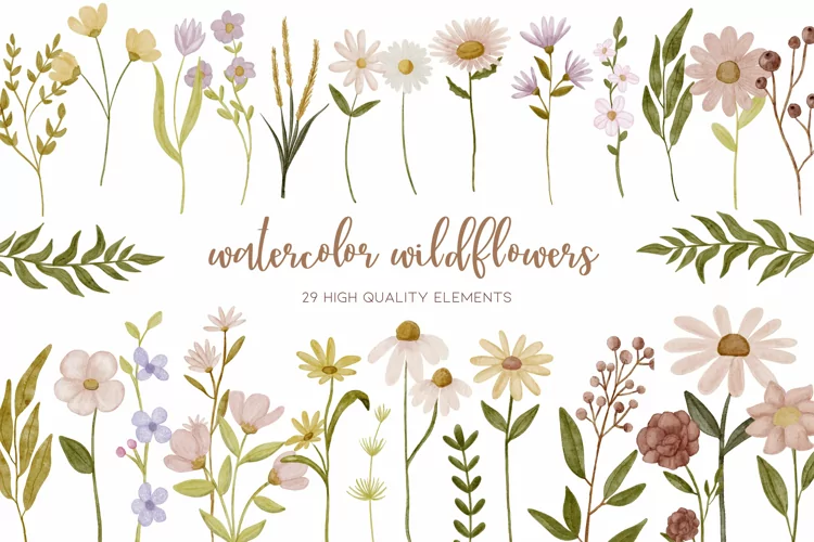 Watercolor Wildflower Clipart | Hand Painted Flower Clipart