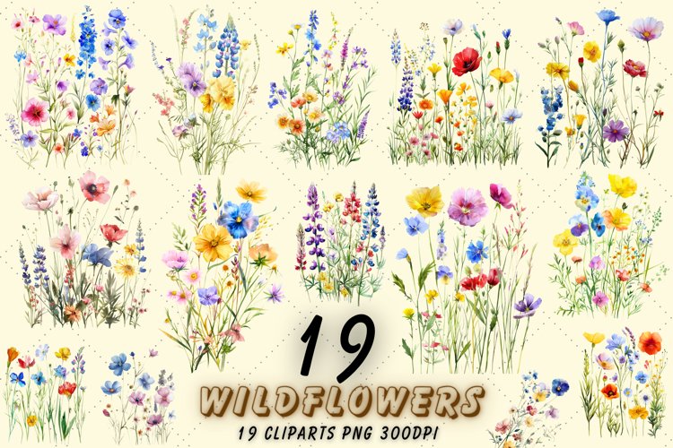 Watercolor wildflowers Clipart Bundle | Spring wildflowers