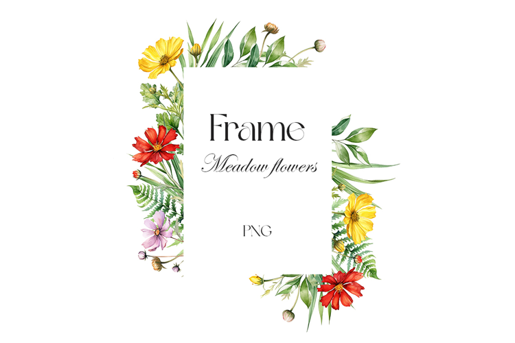 Watercolor Wildflowers Frame Png. Meadow flowers