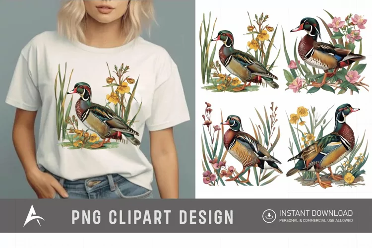 Watercolor Wood Duck in Reeds Flowers Clipart