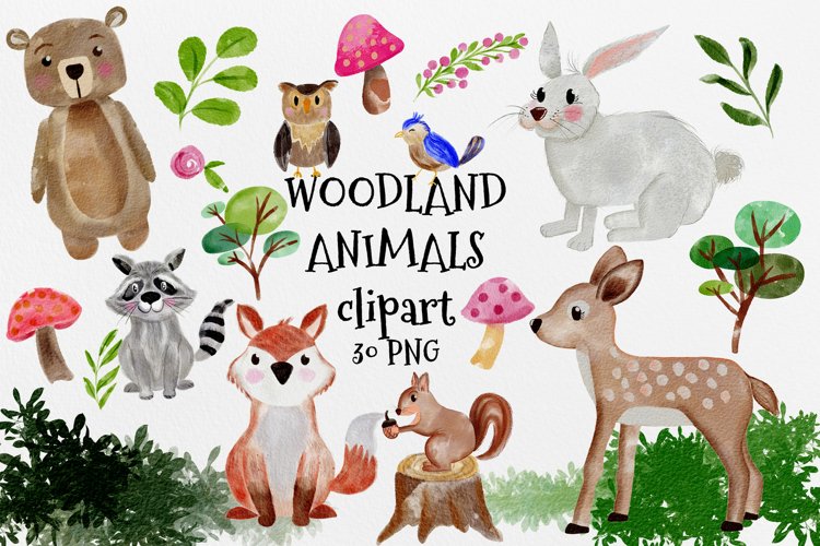 watercolor woodland animals
