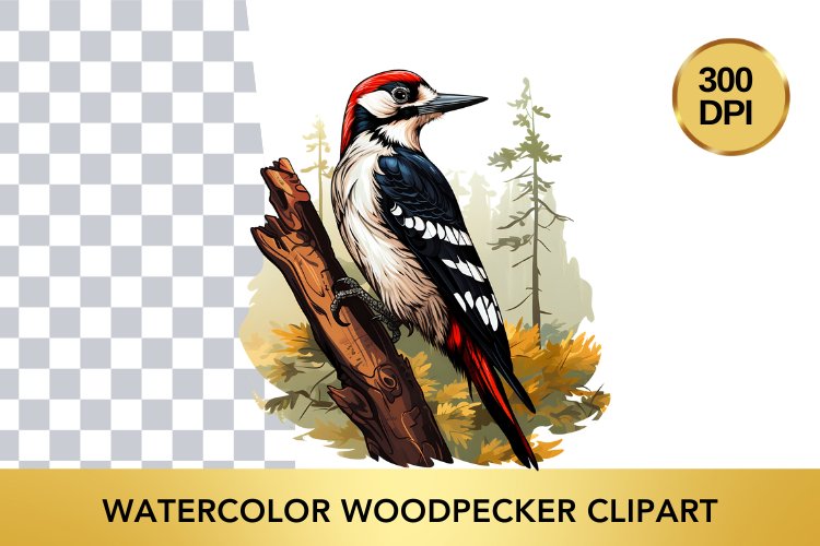 Watercolor woodpecker Clipart , Animal Sublimation PNG