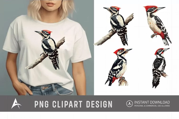 Watercolor Woodpecker Clipart