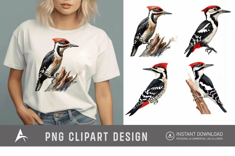 Watercolor Woodpecker Clipart