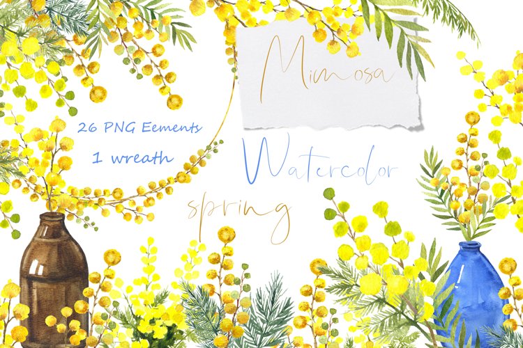 Watercolor Clipart, Spring Flowers Png Graphic yellow mimosa example image 1