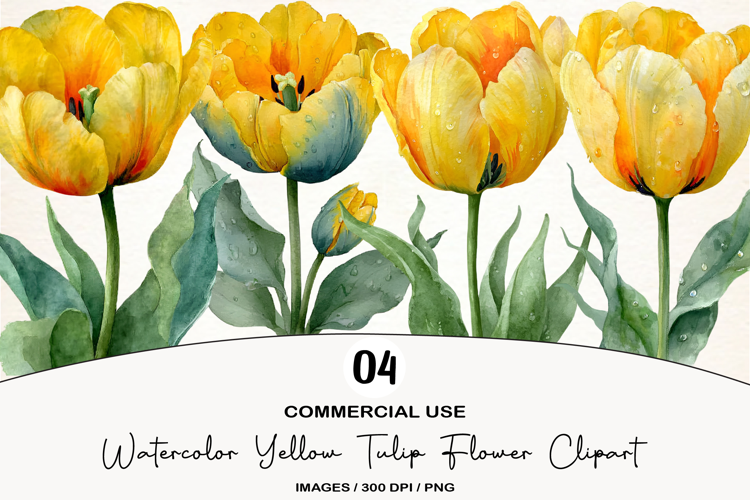 Watercolor Yellow Tulip Flower Clipart
