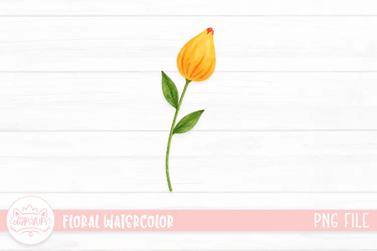 Floral Watercolor Illustration, Flower Watercolor Decoration