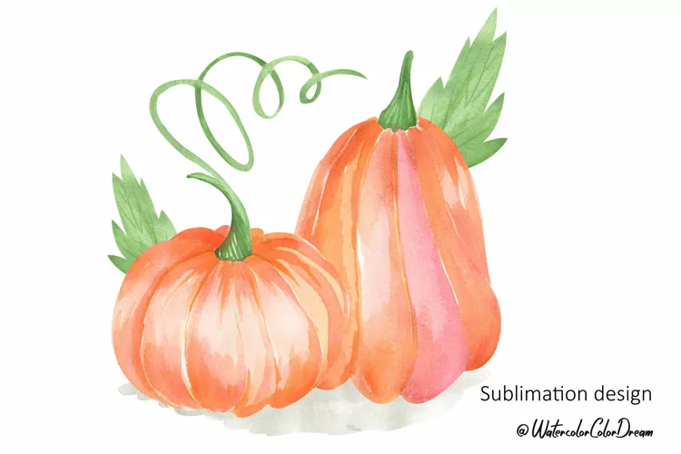 Pumpkin sublimation design