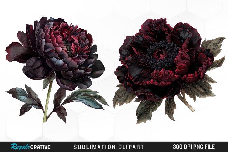 Flower Clipart Image 11