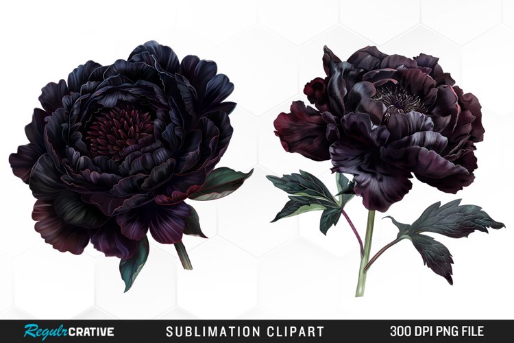 Flower Clipart Image 2