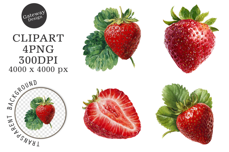 Strawberry Illustration Image 2