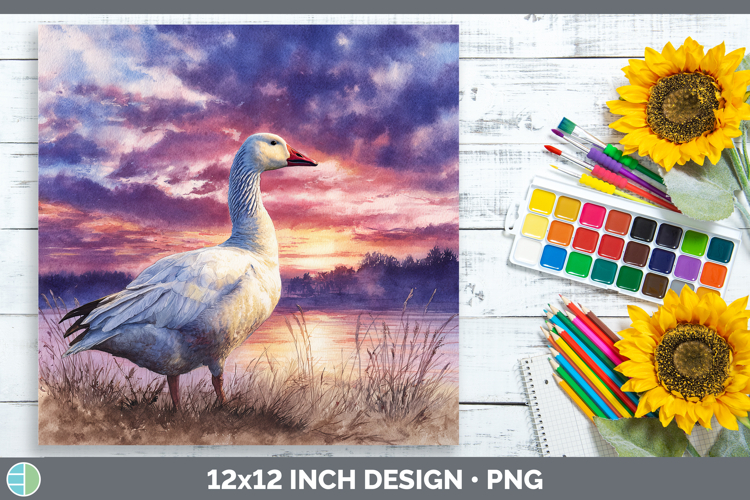 Ross Goose Waterfowl Sunset Paper Backgrounds Design