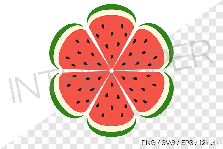 Watermelon Illustration Image 4
