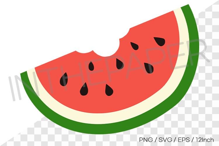 Watermelon Illustration Image 19