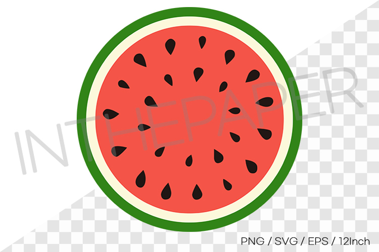 Watermelon Illustration Image 3