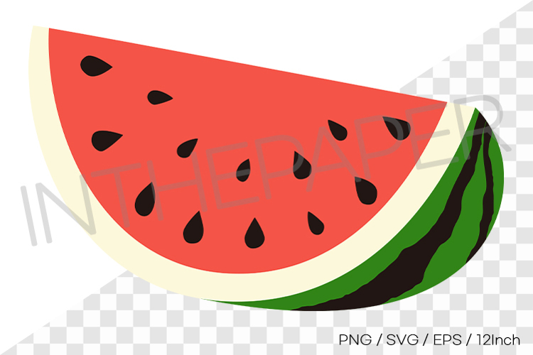 Watermelon Illustration Image 8