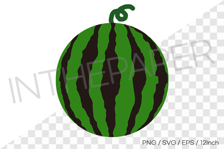 Watermelon Illustration Image 8