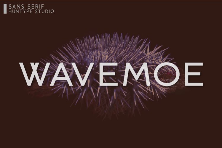 Wavemoe example image 1