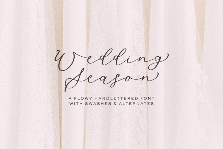 Wedding Season Script