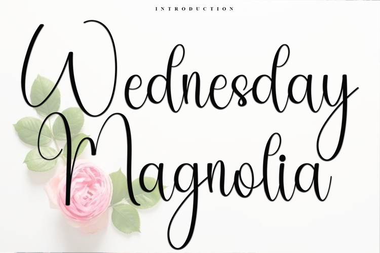 Wednesday Magnolia