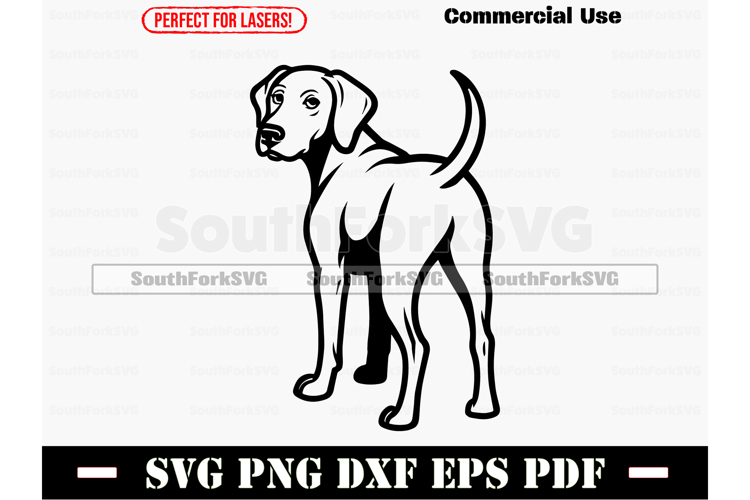 Cat Butt Svg Image 5