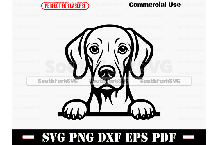 Hunting Dog Svg Image 17