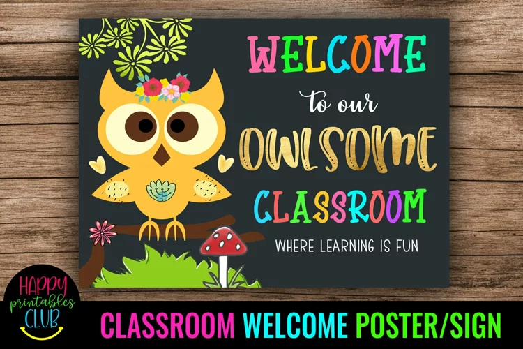 Welcome to Our Owlsome Class -Classroom Welcome Poster Sign